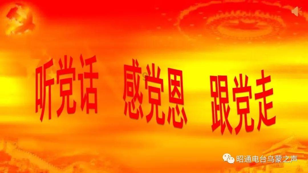 逃离变色龙森林